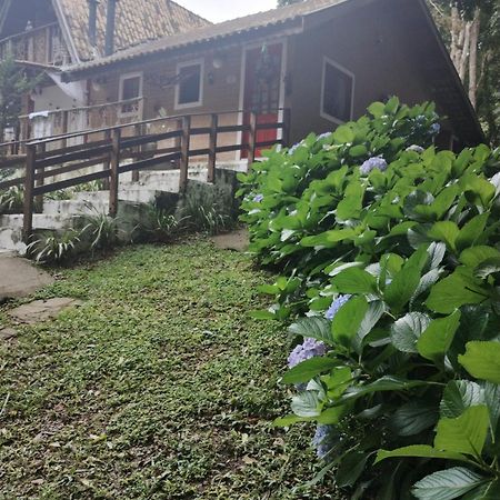Casa Aconchegante Na Serra. Santo Antônio do Pinhal Eksteriør billede