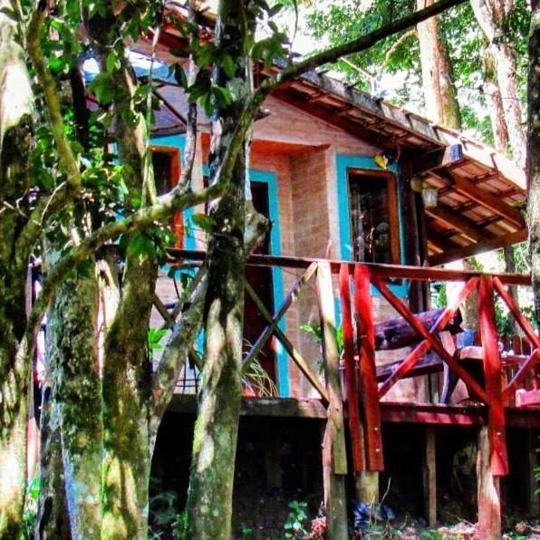 Casa Aconchegante Na Serra. Santo Antônio do Pinhal Eksteriør billede