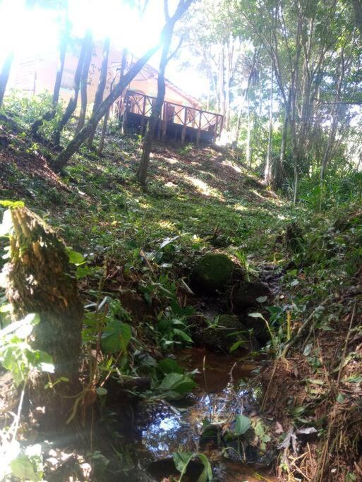 Casa Aconchegante Na Serra. Santo Antônio do Pinhal Eksteriør billede